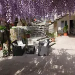 Vukusic Rab Town