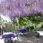 Vukusic 3* Rab Town