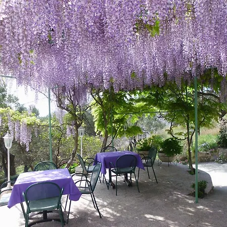 Vukusic 3* Rab Town