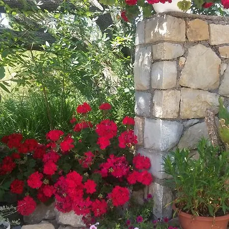 Vukusic Bed and breakfast Rab Town