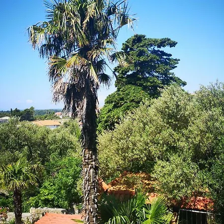 Vukusic Bed & Breakfast Rab Town