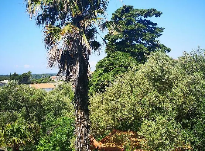 Vukusic 住宿加早餐酒店 拉布