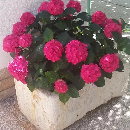 Frühstückspension Vukusic