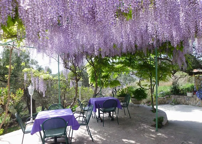 Vukusic 3* Rab Town