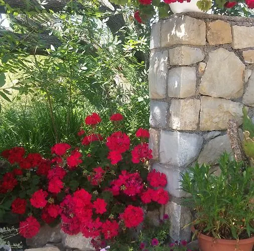 Vukusic Nocleg ze śniadaniem Rab Town